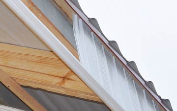 why Pewterspear fascia repairs are essential