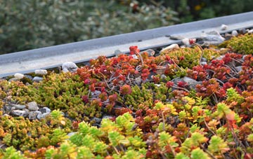 the cost of Pewterspear green roof installation