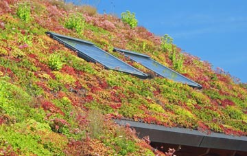 Pewterspear living roof systems