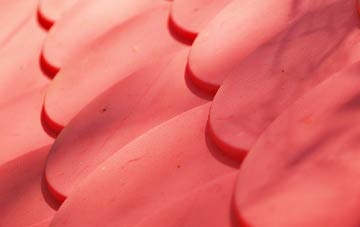 Pewterspear plastic roof costs