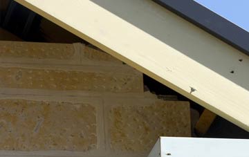 soffit repair Pewterspear