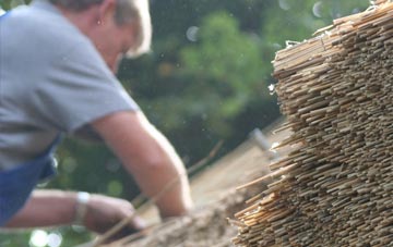 professional Pewterspear thatchers