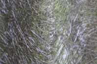 Pewterspear fibreglass roof work