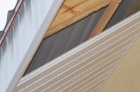 rated Pewterspear soffit repair companies